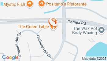 Palm Harbor, FL Homeowner's Insurance Agency